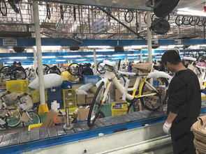 共享单车需求激增3000万辆,传统自行车产业的救命丸还是饮鸩止渴 5b.com.cn无比网